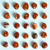 Colección de 25 piedras rúnicas de cristal natural en tonos naranja-rojizo y marrón, dispuestas sobre un fondo gris claro