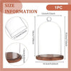 Clear glass dome cloche with a wooden base for display and décor