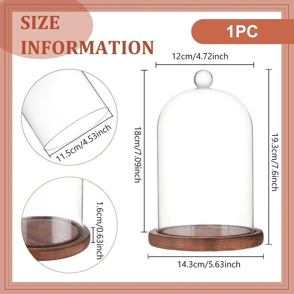 Clear glass dome cloche with a wooden base for display and décor