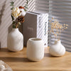 Three minimalist white ceramic decorative vases with dried flowers and natural elements on a wooden surface.