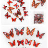 A collection of twelve colorful 3D butterfly wall stickers in various shades of red, orange, and pink.