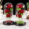 A glass dome display featuring artificial red roses and green moss on a black base.