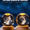 A glass crystal ball decoration with a glowing interior showing zodiac signs against a dark blue background.