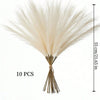 A bundle of ten dried pampas grass stems used for home decor, shown against a white background.