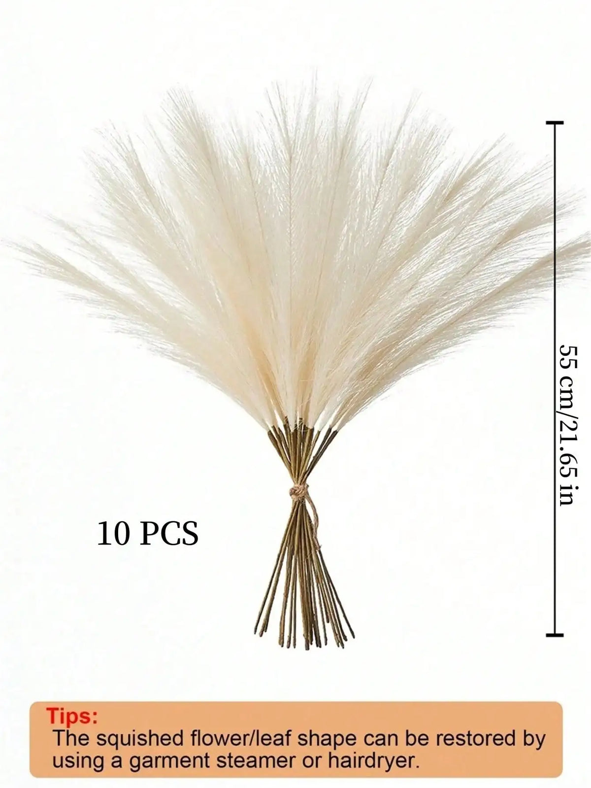 A bundle of ten dried pampas grass stems used for home decor, shown against a white background.