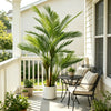 An artificial triple trunk palm tree in a white planter sits beside a window on a porch.