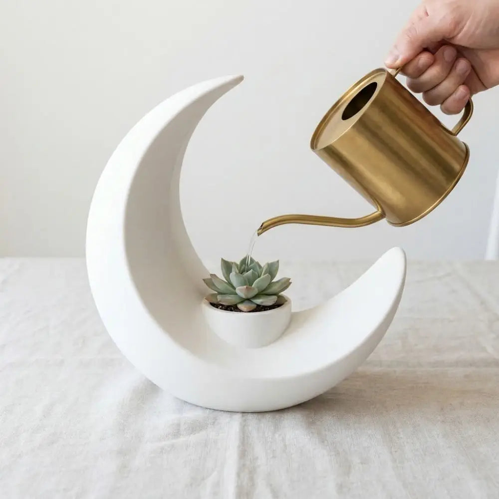 A hand pours water from a brass pitcher into a white, modern moon-shaped decorative vase holding a succulent plant.