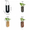 Four wall-mounted hydroponic plant vases in black, grey, wood, and walnut finishes.