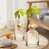 A glass vase holds avocado seed sprouts with roots, set on a wooden table.