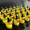 A collection of miniature yellow resin ducks wearing black witch hats arranged on a dark surface.