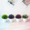 Trois bonsais artificiels en pots blancs avec feuillage vert et violet, présentés sur une surface rose.