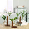 A collection of small green plants in clear glass vases displayed on wooden stands.