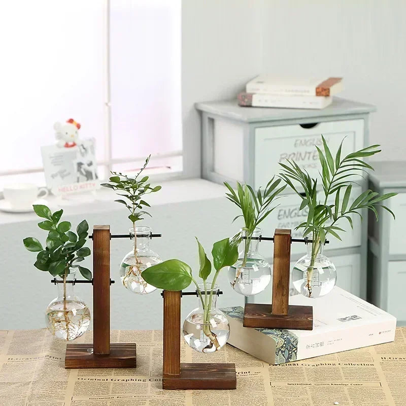 A collection of small green plants in clear glass vases displayed on wooden stands.