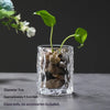 A clear glass vase holds moss and a green plant shoot against a dark background.