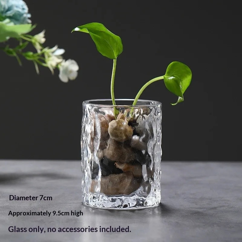 A clear glass vase holds moss and a green plant shoot against a dark background.