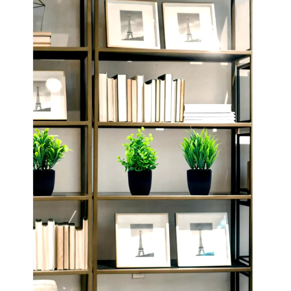 A tall shelving unit displaying various framed art and potted green plants.