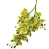 A stem of Lifelike Butterfly Orchid with 21 small, light green and pink blooms.
