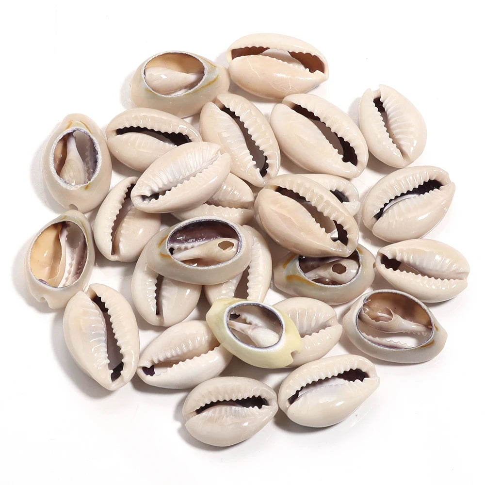 Natural Sea Snail Shell Beads for DIY Jewelry Making