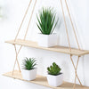 Three small potted succulent plants are displayed hanging from a wooden shelf against a white wall.