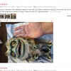 Creepy Furry Alien Monster Decoration