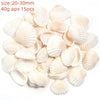 Natural Sea Snail Shell Beads for DIY Jewelry Making
