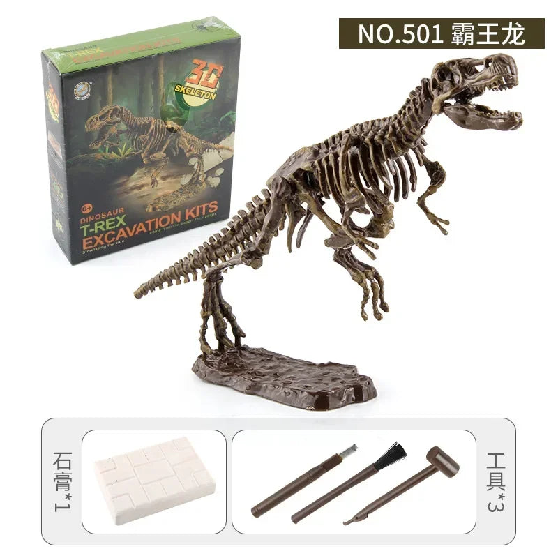 A detailed model of a dinosaur skeleton fossil excavation kit showing the assembled bones and packaging.