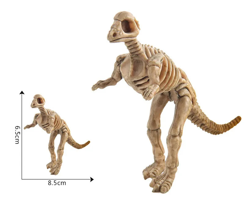 A light brown dinosaur skeleton model with a scale bar showing its size.