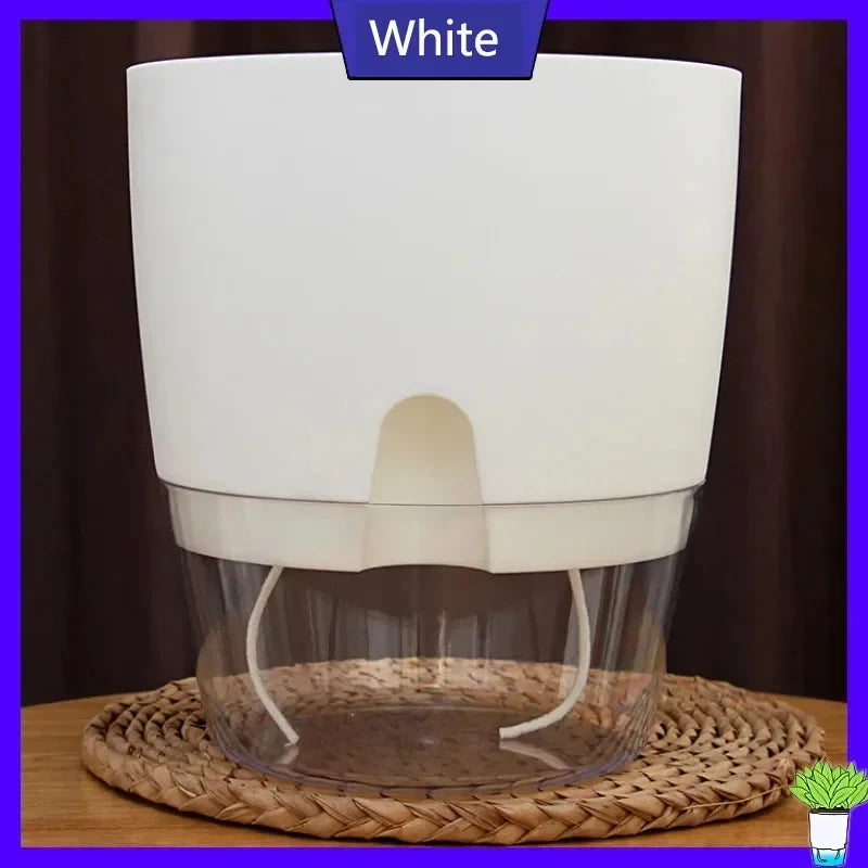 White self-watering transparent flower pot with a cotton rope visible inside.