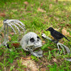 Halloween Bone Prop Set with Skull and Hands
