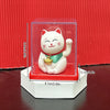 A white ceramic lucky cat figurine with a red collar and gold bell is displayed inside a clear acrylic box.