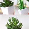 Set of 3 Artificial Evergreen Bonsai Plants