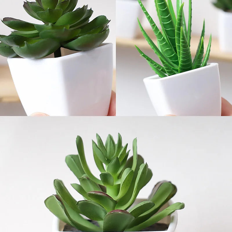 Set of 3 Artificial Evergreen Bonsai Plants