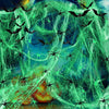 A vibrant green glow-in-the-dark spider web decorated with numerous fake black spiders against a dark blue background.