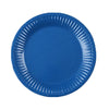 A blue disposable plate with ruffled edges.
