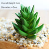 Artificial Succulent Bonsai for Desk & Home Decor