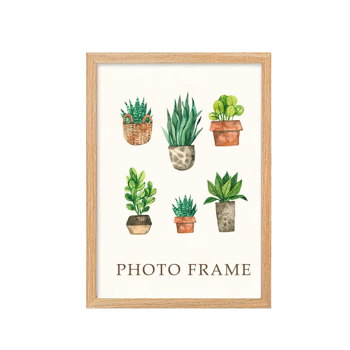 A photo frame featuring illustrations of various potted succulents and cacti on a white background.