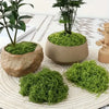 A collection of bright green artificial moss in various forms and pots for home decor