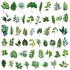 Green Leaf PET Stickers for Scrapbooking and Journaling (50 Pack)