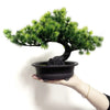 A hand holds an artificial bonsai tree with dense green foliage in a black pot against a white background.