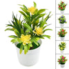 Artificial yellow lotus flowers in green leaves displayed in a white pot.