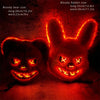 LED Glowing Bloody Rabbit Horror Mask