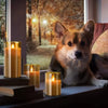 A fluffy brown dog rests beside several glowing gold pillar candles on a wooden surface with a blurred forest background.