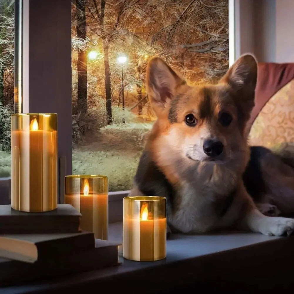 A fluffy brown dog rests beside several glowing gold pillar candles on a wooden surface with a blurred forest background.