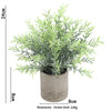 A potted rosemary plant with green leaves in a rustic gray pot.