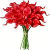 A vibrant bouquet of red calla lily flowers on green stems.