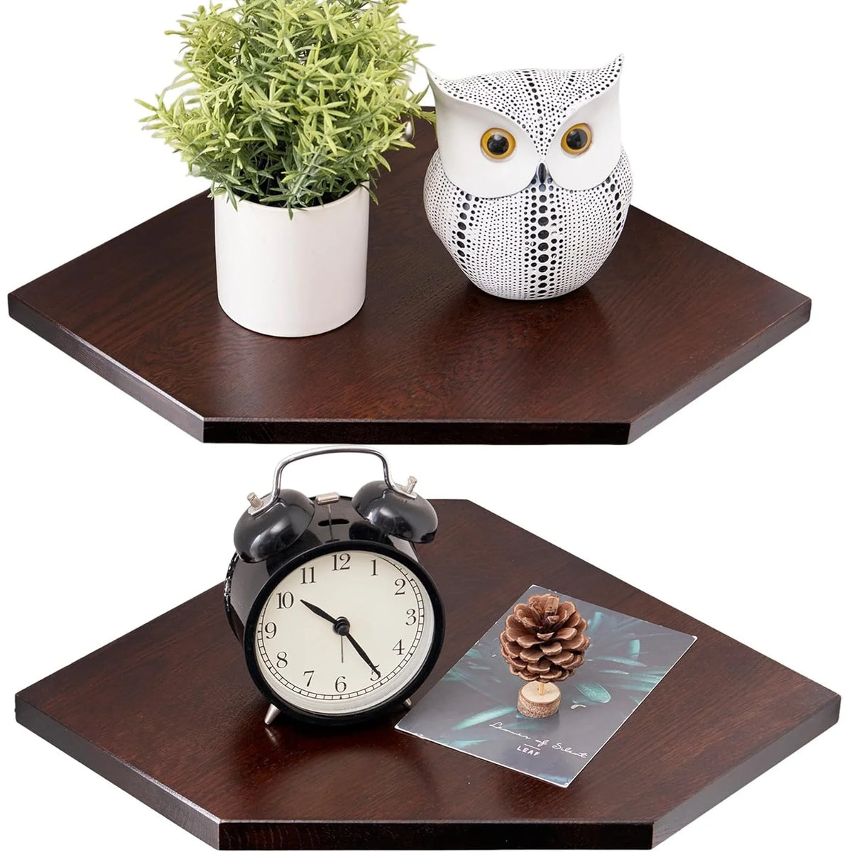 A set of two wall-mounted corner shelves featuring a natural wood display, including a potted plant and an owl figurine.