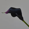 A dark purple and black artificial calla lily flower with a slender green stem.