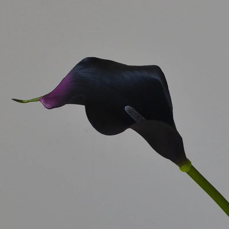 A dark purple and black artificial calla lily flower with a slender green stem.