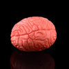A pink, textured prop shaped like a human brain used for Halloween decor.