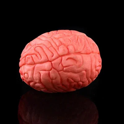 A pink, textured prop shaped like a human brain used for Halloween decor.